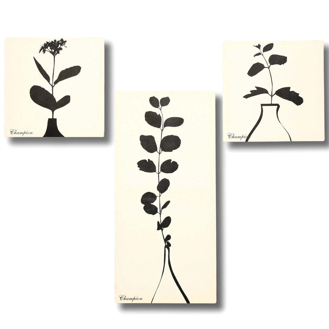 Champion Conceptual Offwhite Plants Wall Art